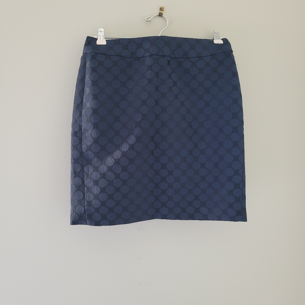 Banana Republic Factory Navy Polka Skirt